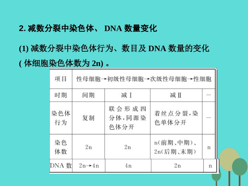 年高考生物一轮复习 第4单元 细胞的生命历程 第12讲 减数分裂和受精作用课件_第3页