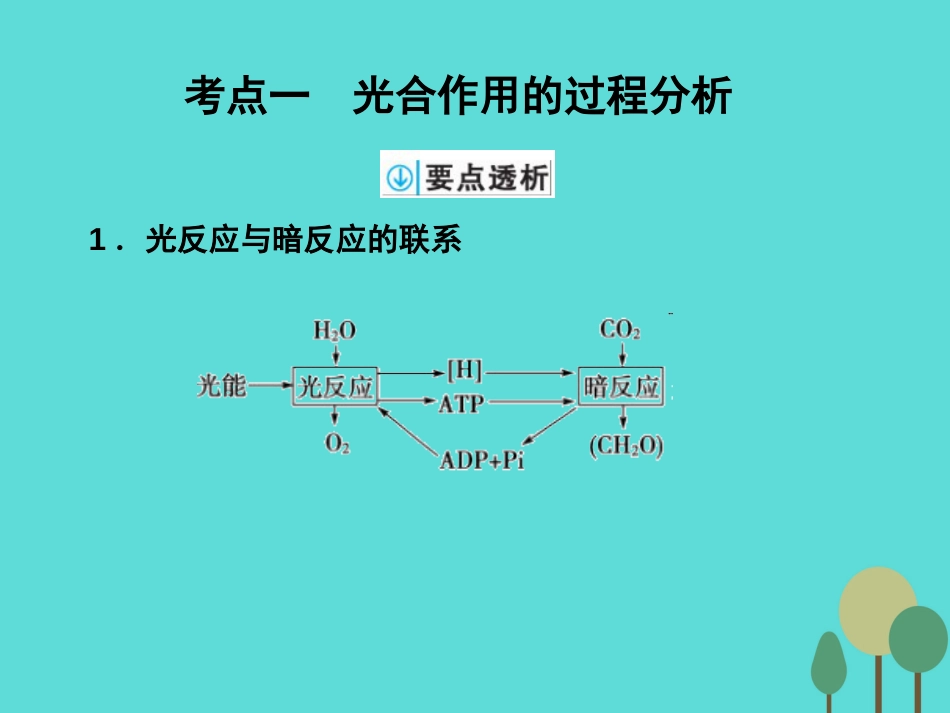 年高考生物一轮复习 第3单元 细胞的能量供应和利用 第10讲 光合作用课件_第2页