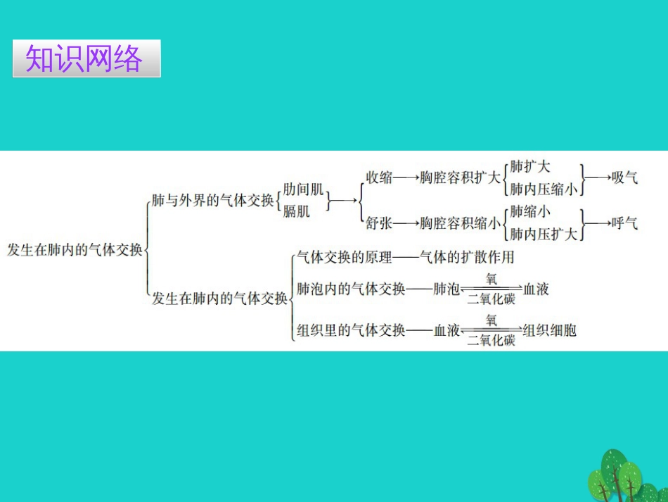 广东省20152016七年级生物下册 第3章 第二节 发生在肺内的气体交换导练课件 （新版）新人教版_第2页