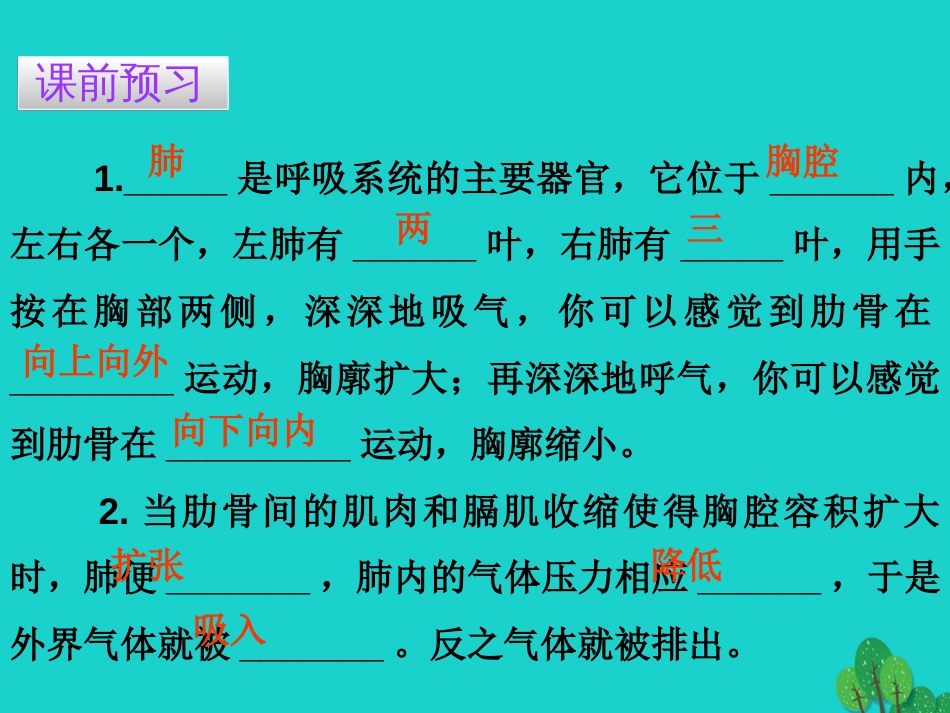 广东省20152016七年级生物下册 第3章 第二节 发生在肺内的气体交换导练课件 （新版）新人教版_第3页