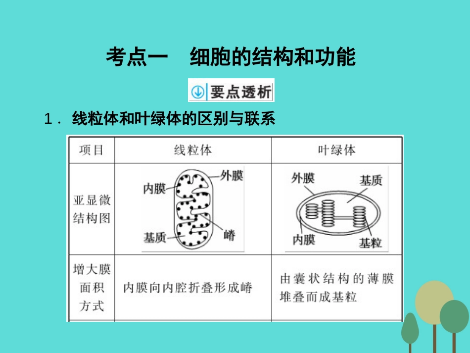 年高考生物一轮复习 第2单元 细胞的基本结构和物质运输功能 第6讲 细胞器与生物膜系统课件_第2页
