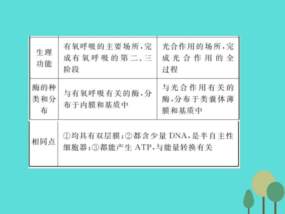 年高考生物一轮复习 第2单元 细胞的基本结构和物质运输功能 第6讲 细胞器与生物膜系统课件_第3页