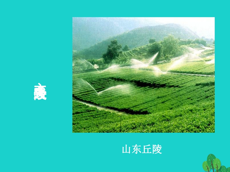 七年级地理上册 第三章 第一节 中国的地势与地形学生课件3 中图版_第2页