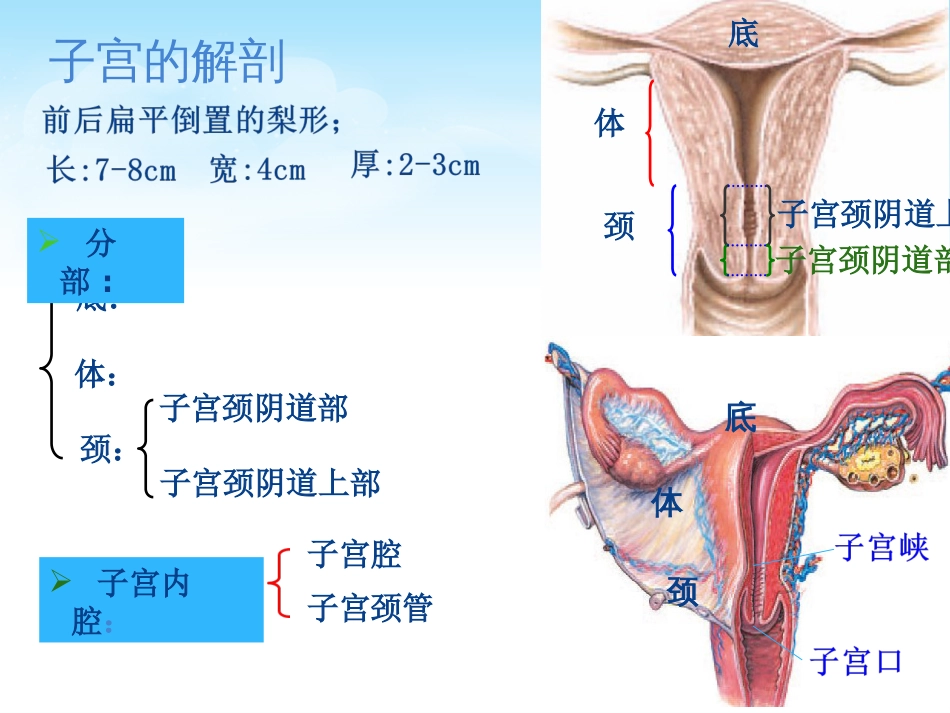 子宫肌瘤护理查房[共72页]_第3页