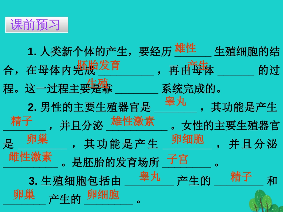 广东省20152016七年级生物下册 第1章 第二节 人的生殖导练课件 （新版）新人教版_第3页