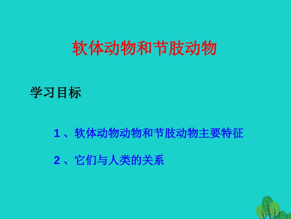 八年级生物上册 5.1.3 软体动物和节肢动物课件1 （新版）新人教版_第1页