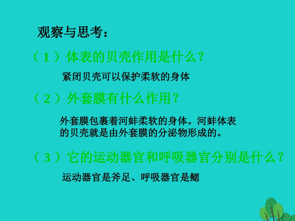 八年级生物上册 5.1.3 软体动物和节肢动物课件1 （新版）新人教版_第3页