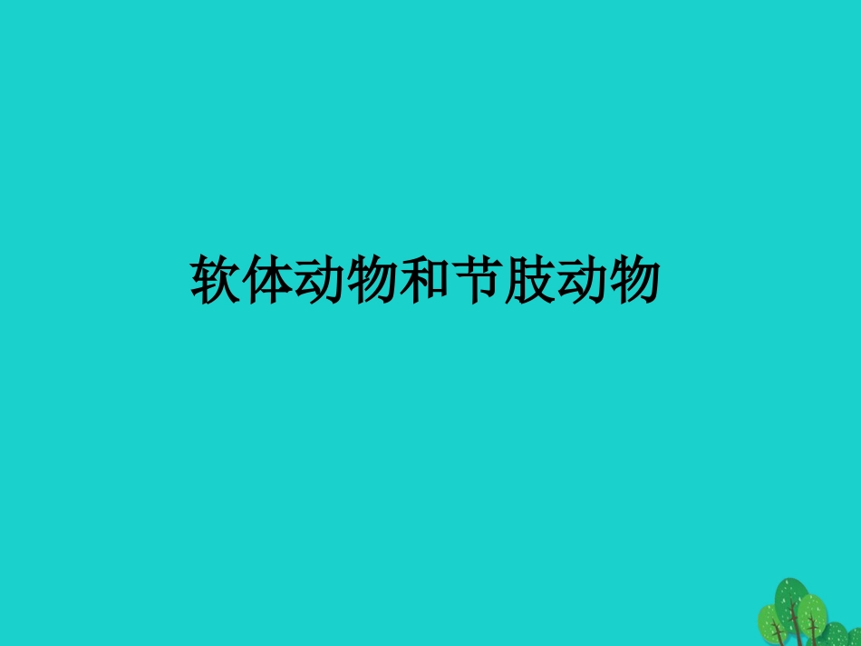 八年级生物上册 5.1.3 软体动物和节肢动物课件2 （新版）新人教版_第1页