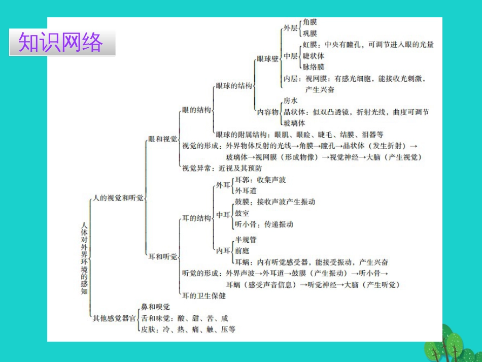 广东省20152016七年级生物下册 第6章 第一节 人体对外界环境的感知导练课件 （新版）新人教版_第2页