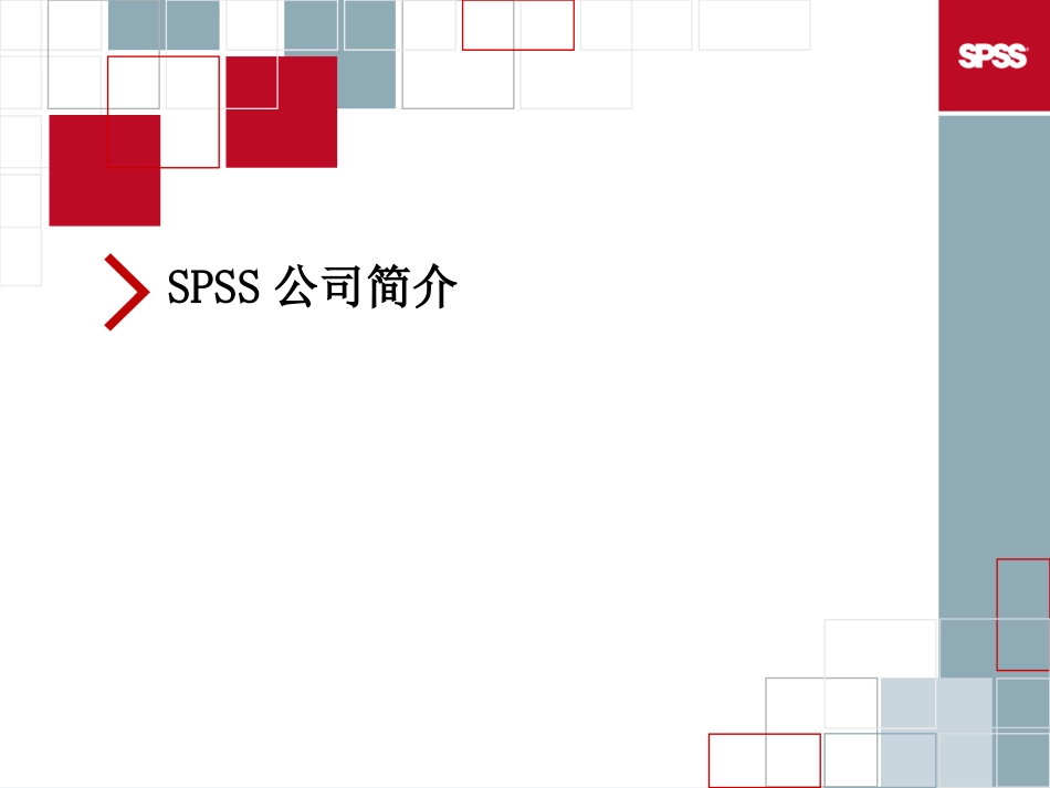 SPSS企业级预测分析金融解决方案[共46页]_第3页