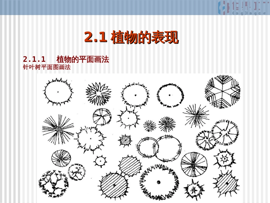 园林制图与识图课件第二章[共11页]_第3页