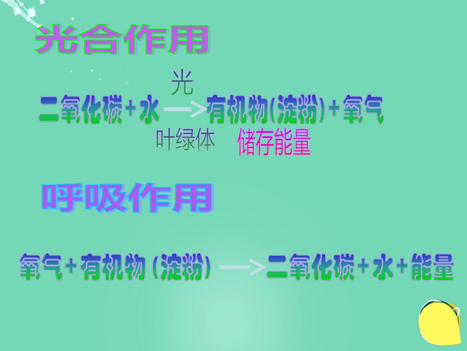 七年级生物下册 第三单元 第六章 第五节 光合作用和呼吸作用原理的应用课件（1）（新版）苏教版[共19页]_第2页