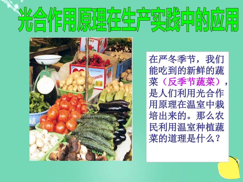 七年级生物下册 第三单元 第六章 第五节 光合作用和呼吸作用原理的应用课件（1）（新版）苏教版[共19页]_第3页