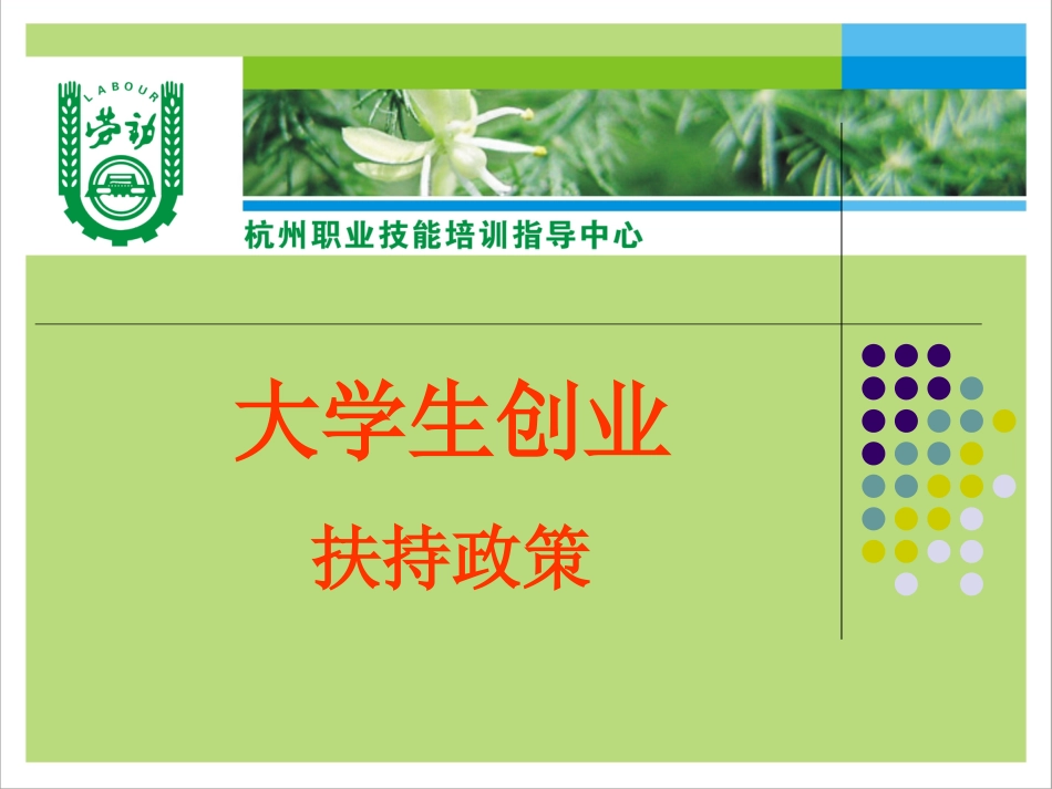 国家就大学生创业扶持政策[共56页]_第1页
