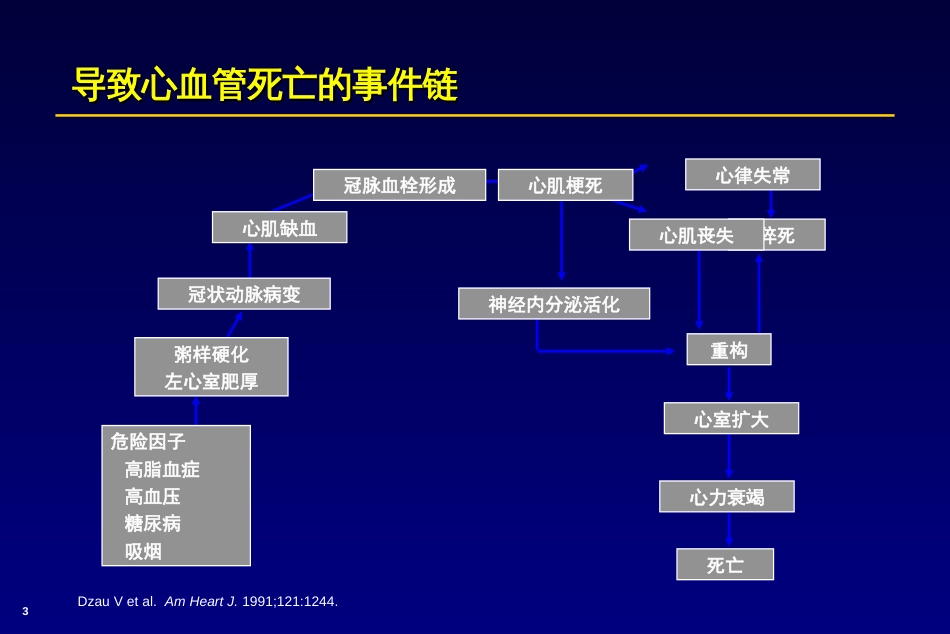 心血管药物治疗[共244页]_第3页