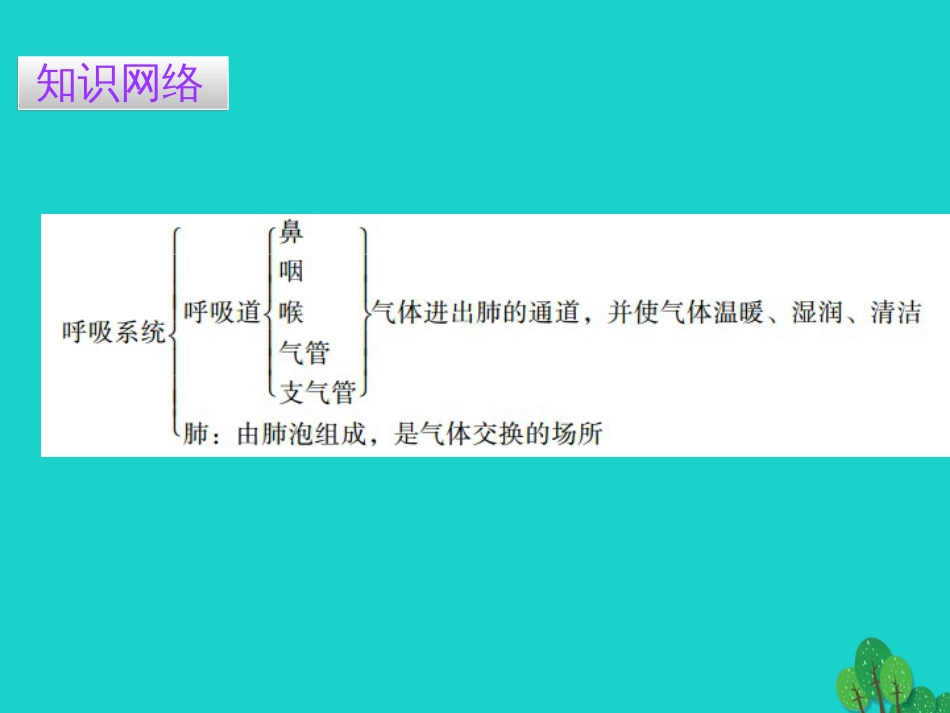 广东省20152016七年级生物下册 第3章 第一节 呼吸道对空气的处理导练课件 （新版）新人教版_第2页