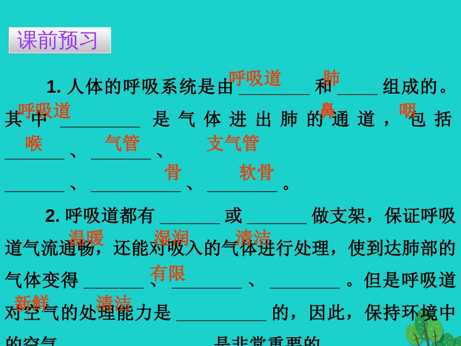 广东省20152016七年级生物下册 第3章 第一节 呼吸道对空气的处理导练课件 （新版）新人教版_第3页