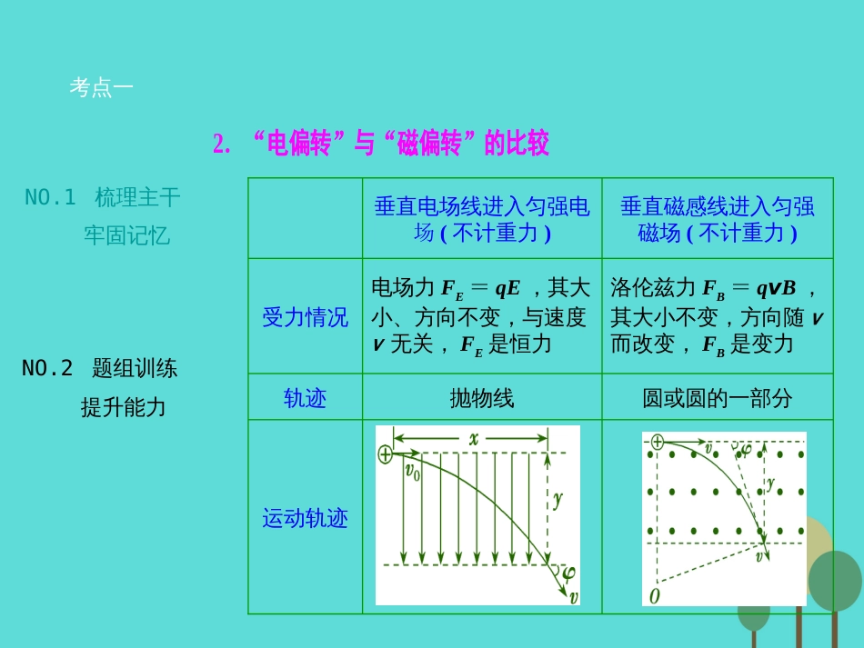 优化探究（新课标）2017届高三物理一轮复习 第8章 磁场 第3讲 带电粒子在复合场中的运动课件_第3页