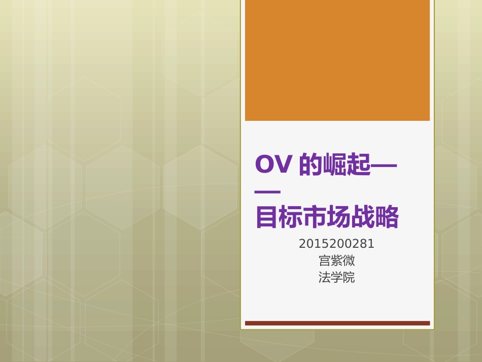 ov手机营销策略分析——目标市场策略[共26页]_第1页