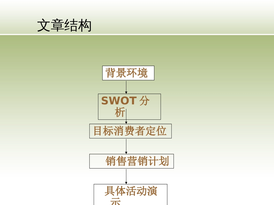 产品策划方案[共49页]_第2页