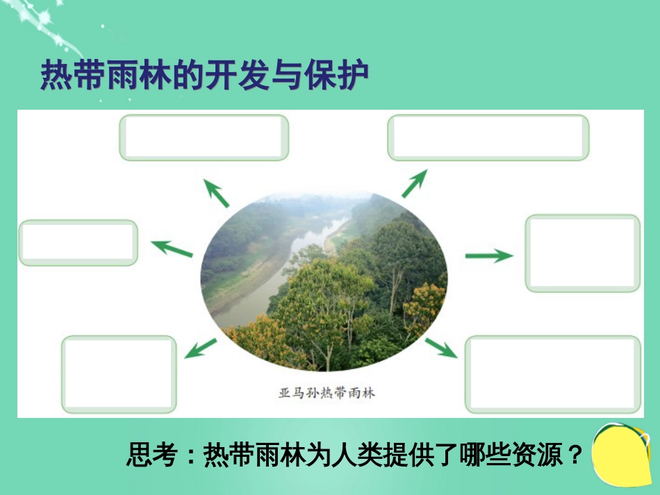 七年级地理下册 10.7 巴西——南美洲面积最大的国家 热带雨林作用与危机课件 晋教版_第2页