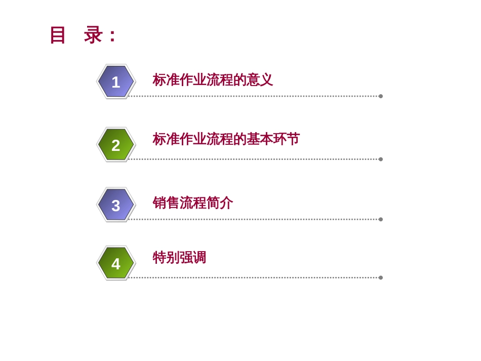 上海新联康标准作业流程详细资料-49P[共49页]_第2页