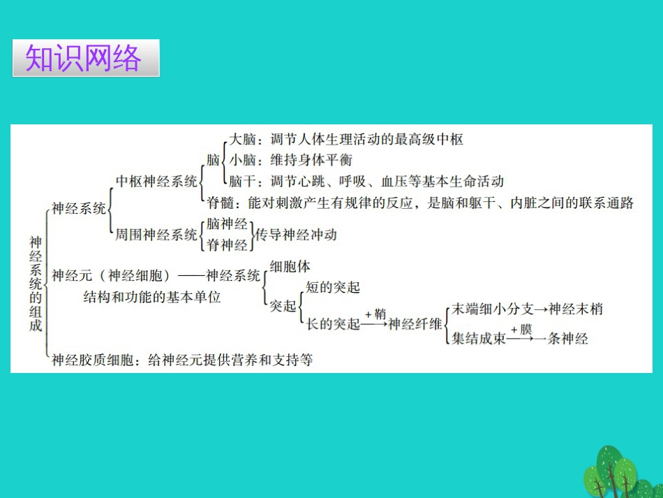 广东省20152016七年级生物下册 第6章 第二节 神经系统的组成导练课件 （新版）新人教版_第2页