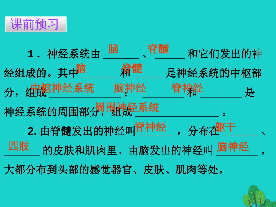 广东省20152016七年级生物下册 第6章 第二节 神经系统的组成导练课件 （新版）新人教版_第3页