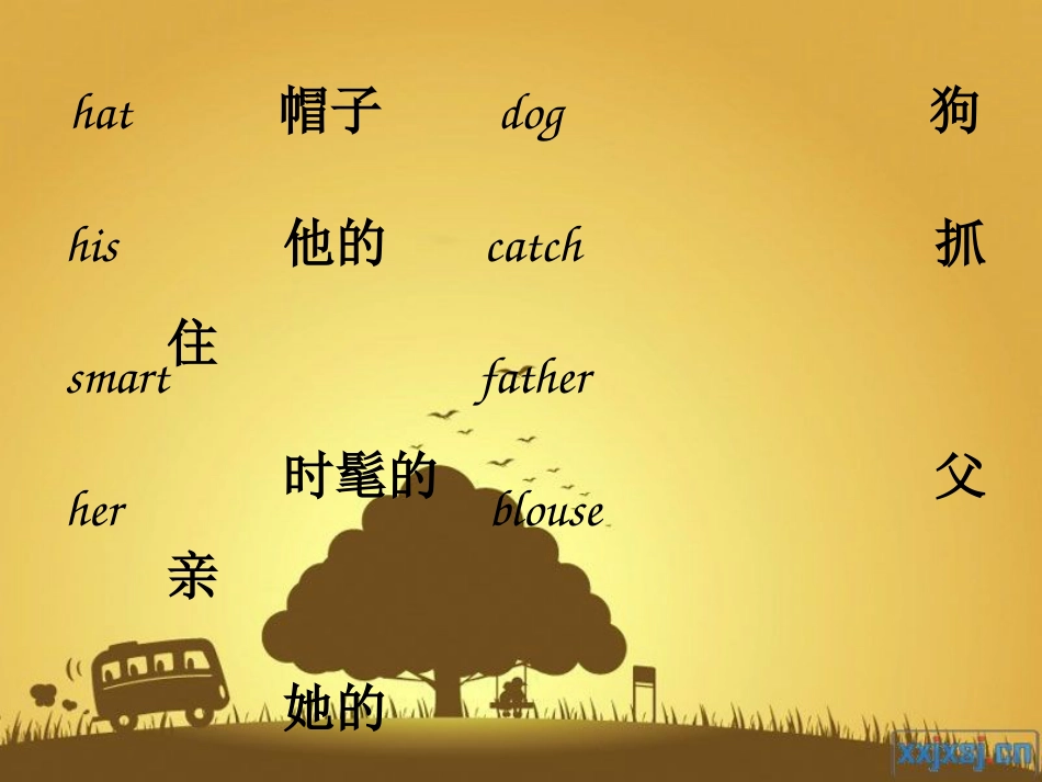 新概念英语第一册第1516课件_第3页