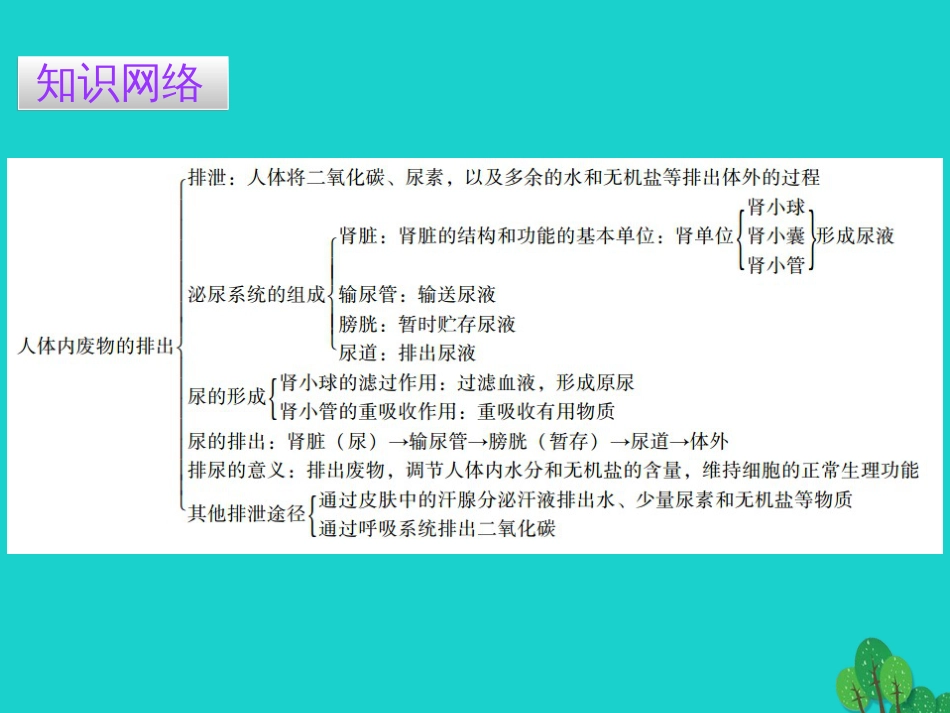 广东省20152016七年级生物下册 第5章 人体内废物的排出导练课件 （新版）新人教版_第2页