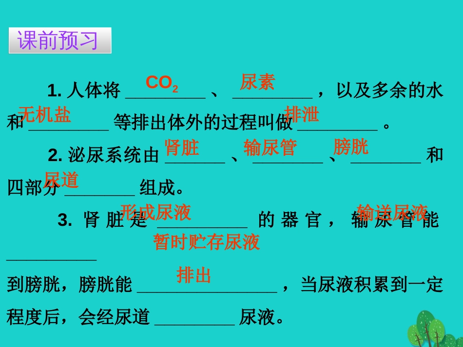 广东省20152016七年级生物下册 第5章 人体内废物的排出导练课件 （新版）新人教版_第3页