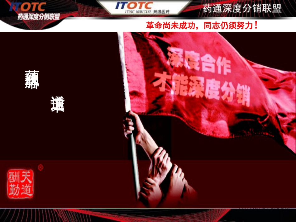打造药品营销航母[共21页]_第2页