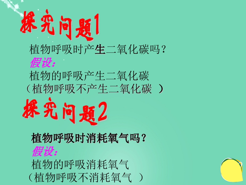 七年级生物下册 第三单元 第六章 第四节 植物的呼吸作用课件（2）（新版）苏教版[共25页]_第2页