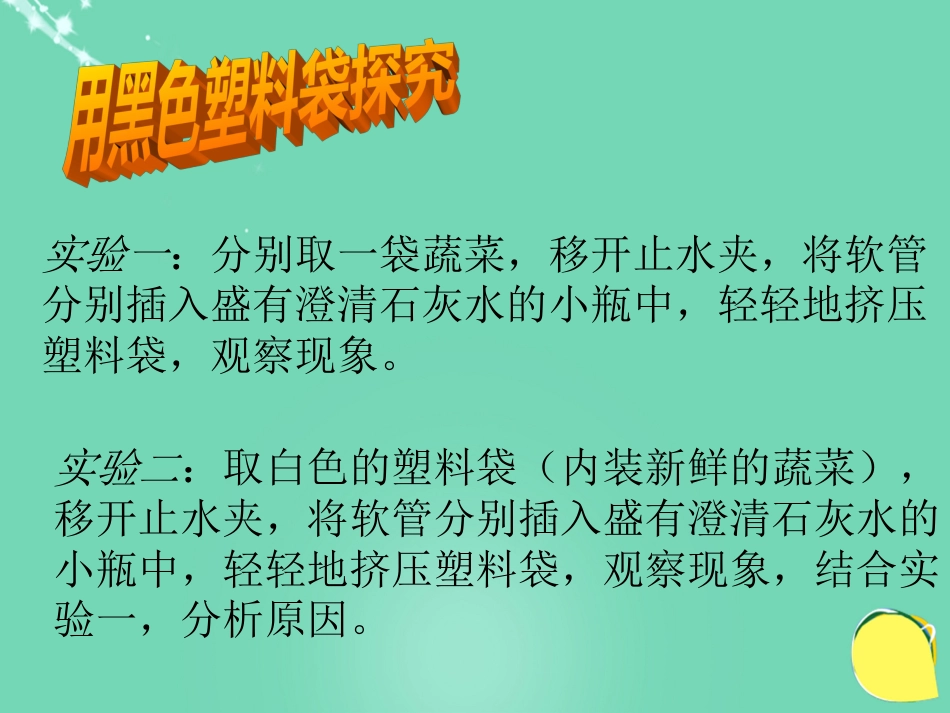 七年级生物下册 第三单元 第六章 第四节 植物的呼吸作用课件（2）（新版）苏教版[共25页]_第3页