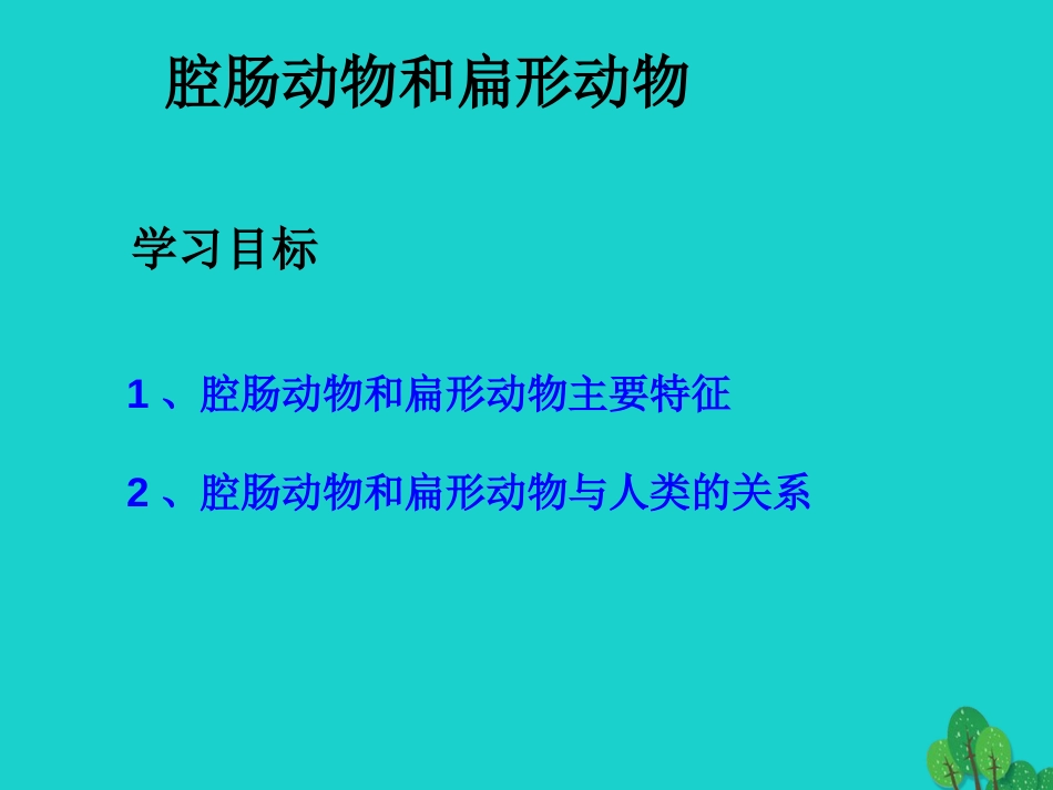 八年级生物上册 5.1.1 腔肠动物和扁形动物课件2 （新版）新人教版_第1页