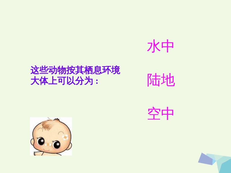 六年级科学上册 动物的运动课件4 青岛版[共30页]_第3页