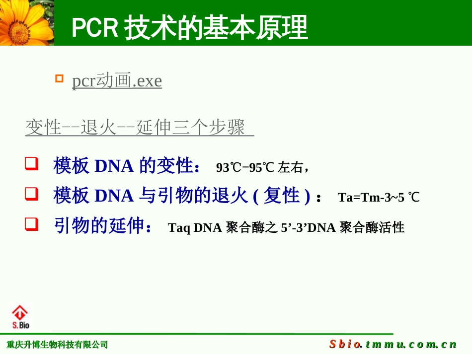 PCR、RTPCR常见问题及分析_第3页