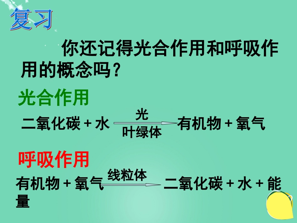 七年级生物下册 第三单元 第六章 第五节 光合作用和呼吸作用原理的应用课件（2）（新版）苏教版_第1页