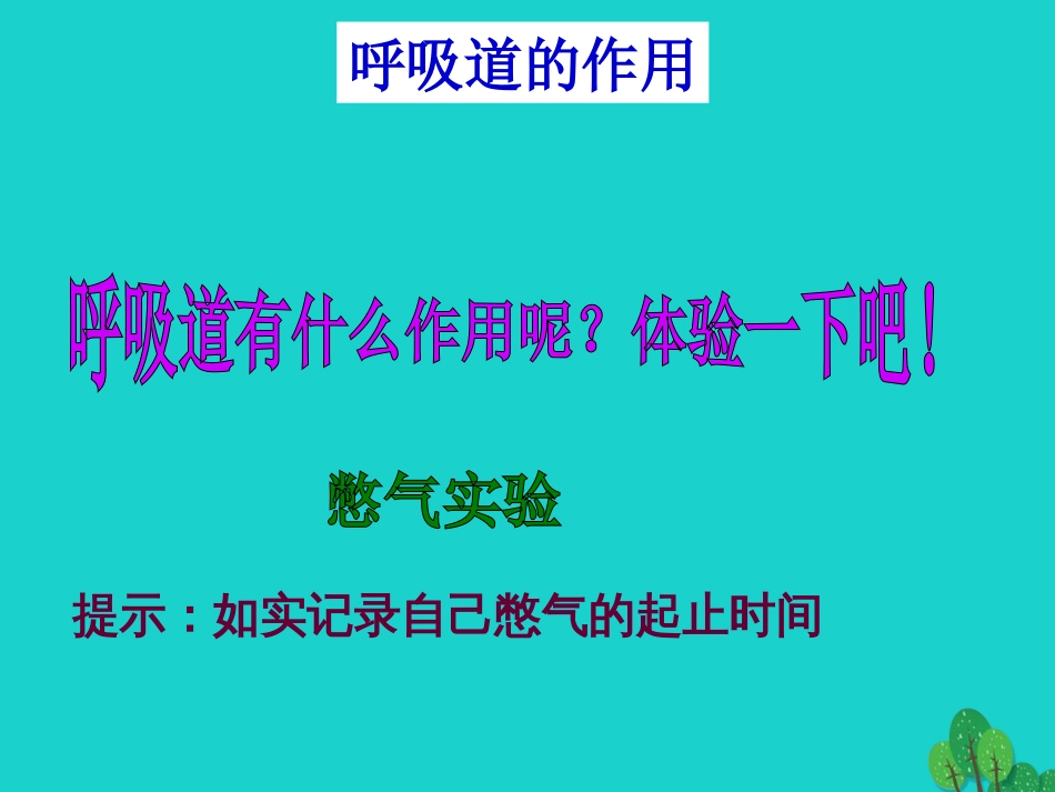 广东省台山市新宁中学七年级生物下册 第四单元 第三章 第一节 呼吸道对空气的处理课件 （新版）新人教版_第3页