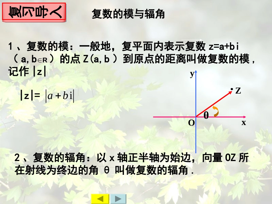 复数的三角形式2018_第2页