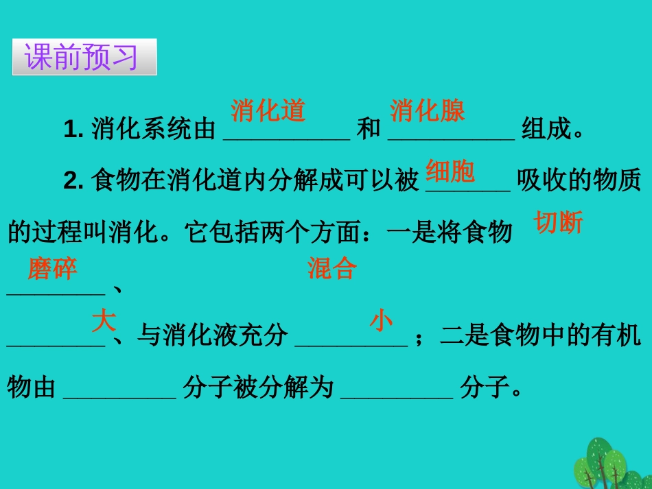 广东省20152016七年级生物下册 第2章 第二节 消化和吸收导练课件 （新版）新人教版_第3页