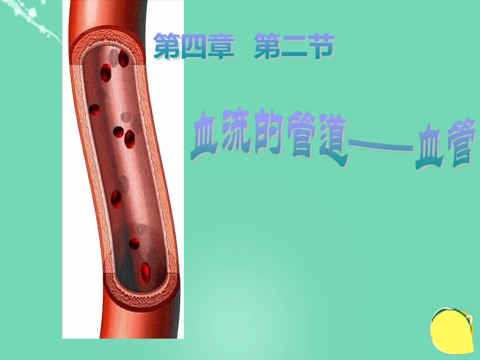 七年级生物下册 第四单元 第四章 第二节 血流的管道血管教学课件 （新版）新人教版_第1页