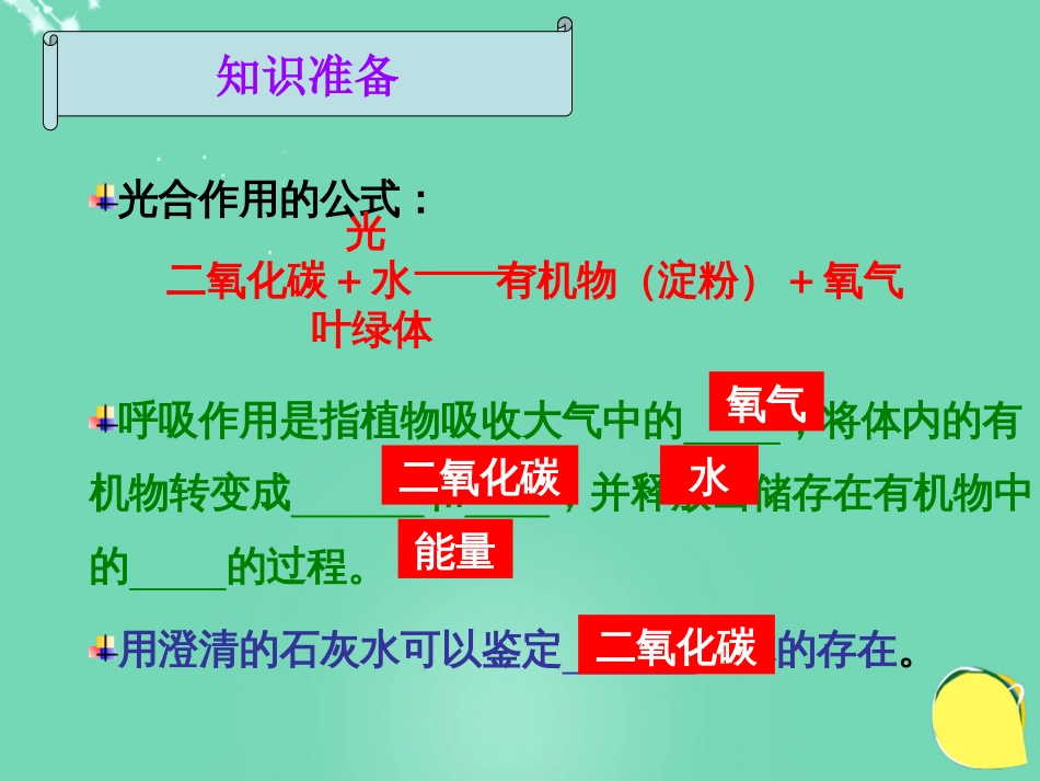 七年级生物下册 第三单元 第六章 第四节 植物的呼吸作用课件（1）（新版）苏教版_第3页