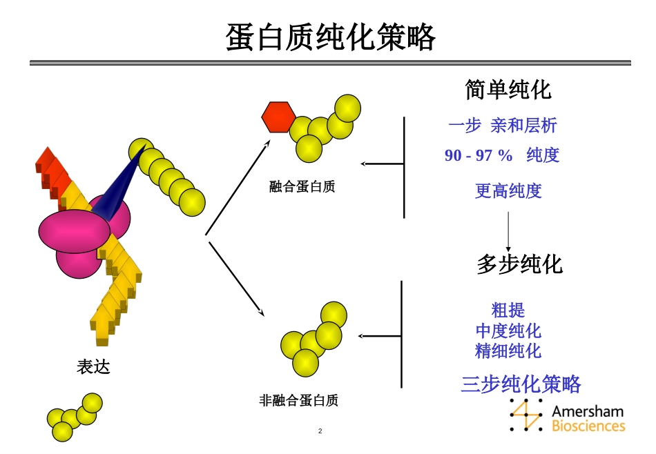 层析分离纯化技术课件[共93页]_第2页