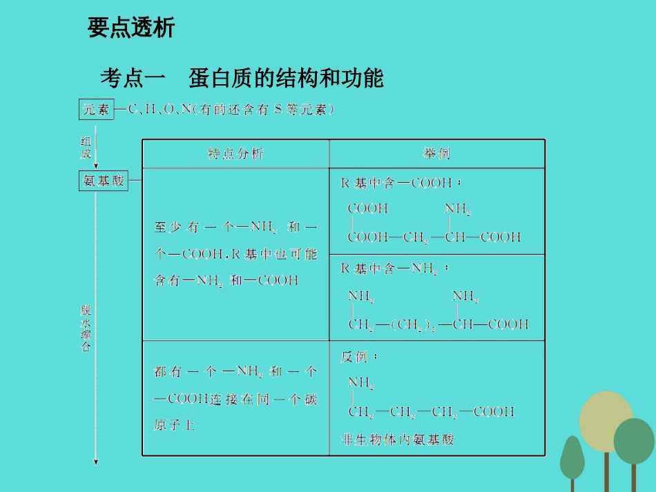 年高考生物一轮复习 第1单元 走近细胞和组成细胞的分子 第3讲 蛋白质课件_第1页