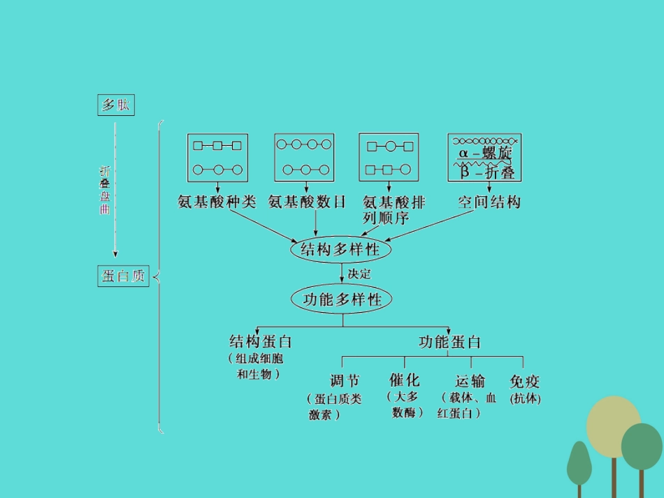年高考生物一轮复习 第1单元 走近细胞和组成细胞的分子 第3讲 蛋白质课件_第2页