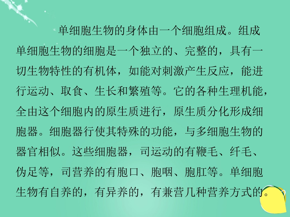 七年级生物上册 第三单元 第四章 第三节 单细胞生物的生命活动特点课件 （新版）苏教版_第2页