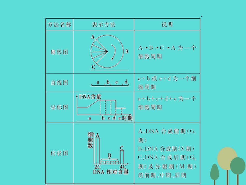年高考生物一轮复习 第4单元 细胞的生命历程 第11讲 细胞的增殖课件_第3页