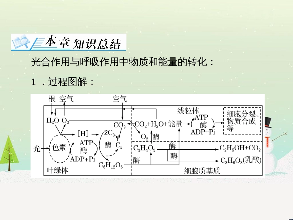 高考地理 技法点拨——气候 1 (582)_第3页
