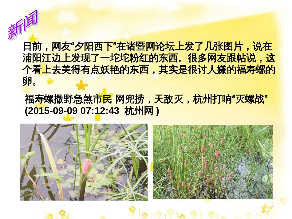 八年级语文上册 第四单元《生物入侵者》课件 新人教版_第1页